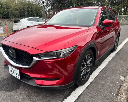 476094664_3080496642102786_2323825087461761977_n-1