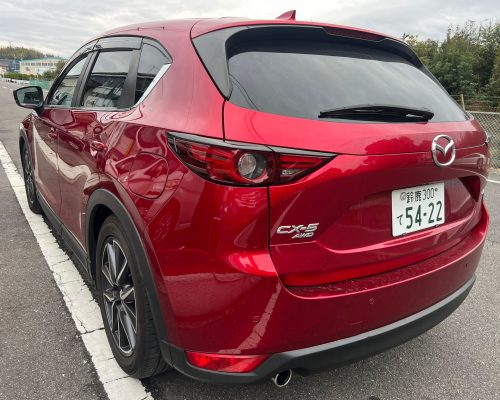 476319088_3080496715436112_2467038405813026722_n