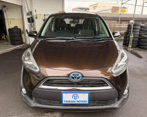 477298232_1143379147798618_6093081970193274488_n