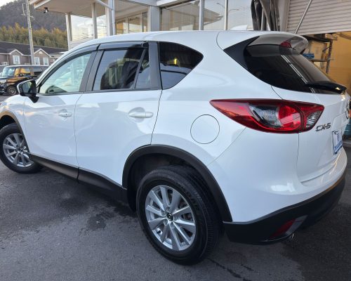 480676233_1156378613165338_6837941978209010466_n