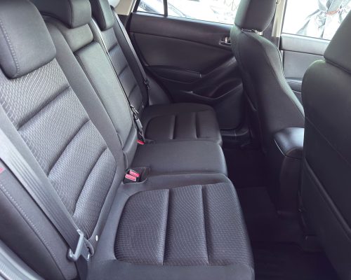 480685487_1156378796498653_8357282215405362481_n