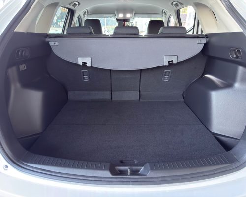 480799328_1156378836498649_7961076036747271220_n