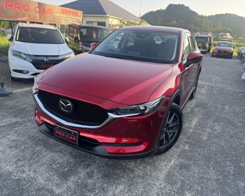 500229853_690599877062293_7470702384229745954_n-1