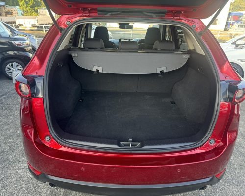 500733310_690599817062299_390458593509358412_n