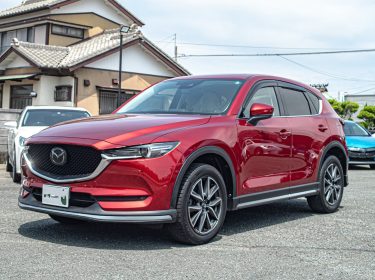 504008086_17912098266137985_8524789240265442487_n