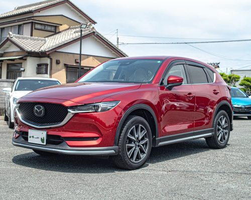 504008086_17912098266137985_8524789240265442487_n