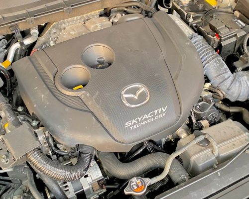 504194107_1282923560507764_8939683373986116982_n