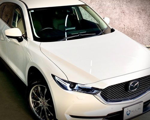 504430553_1282923467174440_4444886665493455641_n-1