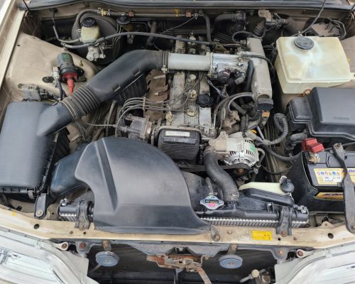 504430715_1145271850953150_4159499239161973668_n