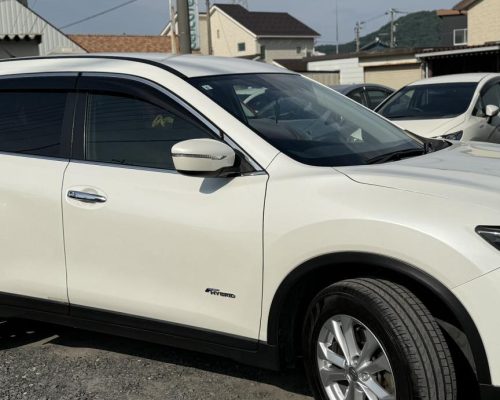 504476130_1192594999334513_3460893160482114919_n