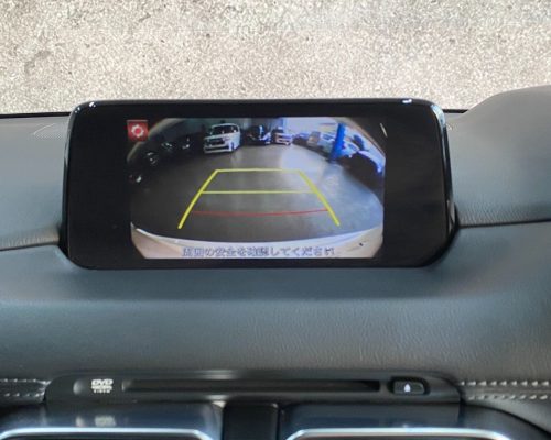 505084901_1282923510507769_836652382535916739_n