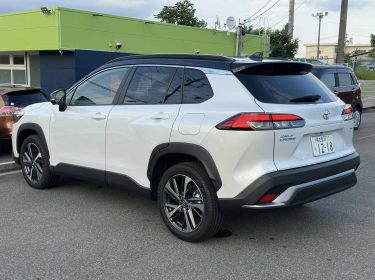 508115115_597710680038512_280027151522709640_n