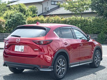 510956046_17912098284137985_6493125833399279166_n