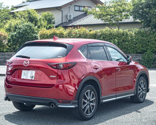 510956046_17912098284137985_6493125833399279166_n