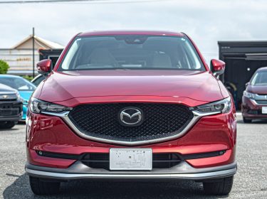 510962065_17912098257137985_4538223555108196996_n