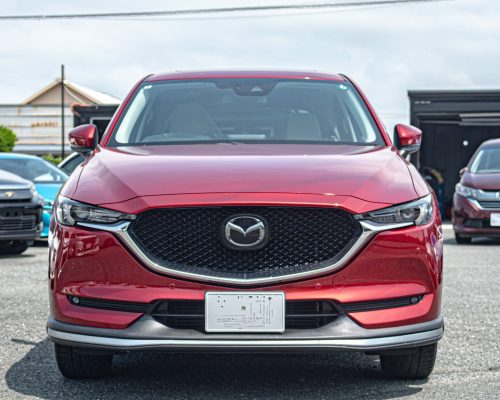 510962065_17912098257137985_4538223555108196996_n