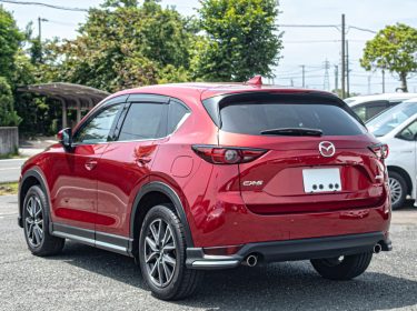 510973263_17912098302137985_3529955080593966235_n