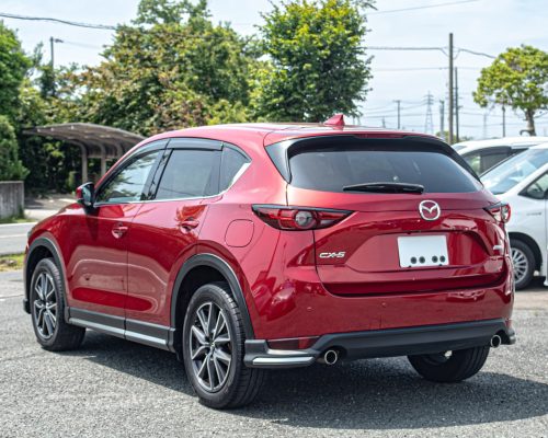 510973263_17912098302137985_3529955080593966235_n