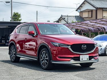 511485836_17912098275137985_8300938032572047876_n-1