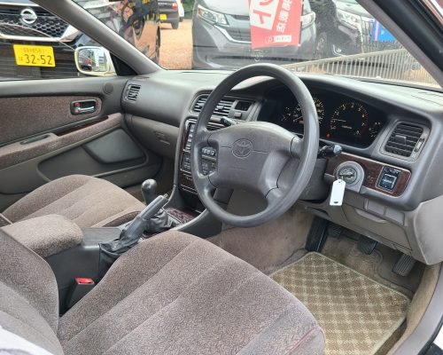 514349454_1145271190953216_1710937306549095700_n