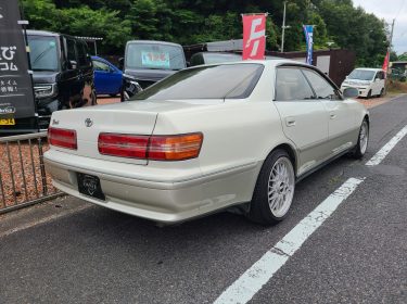 517399079_1145271524286516_4277686984354581057_n