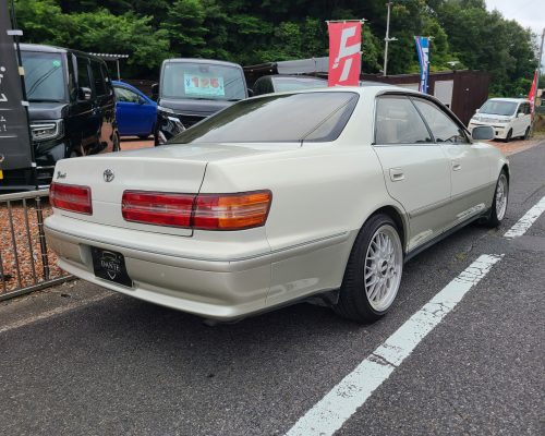 517399079_1145271524286516_4277686984354581057_n