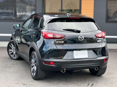 518136083_1192080509629761_6691244492282595538_n