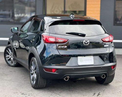 518136083_1192080509629761_6691244492282595538_n