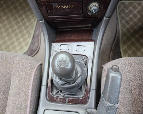 518209013_1145272204286448_825194767153813689_n