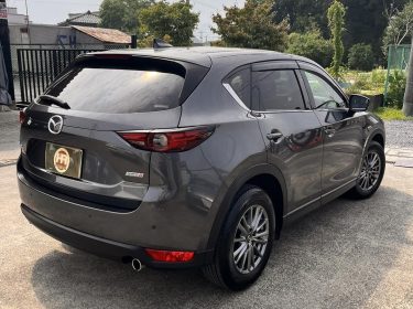 518351907_1525191015454156_7651655363376071896_n