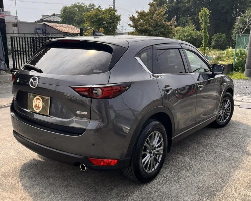 518351907_1525191015454156_7651655363376071896_n