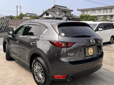 520429811_1525191018787489_2694448825704084042_n