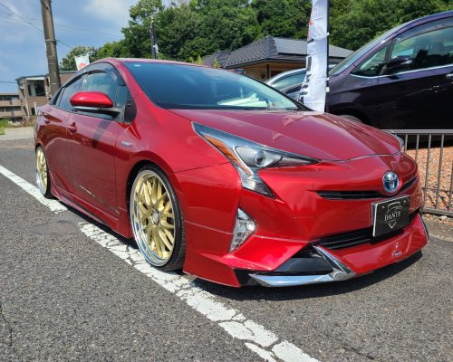 530958224_1174654081348260_4714804163492338429_n-1