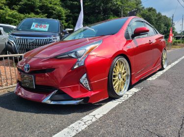 531140700_1174654721348196_5438932175477741013_n