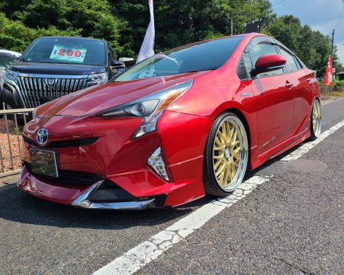 531140700_1174654721348196_5438932175477741013_n