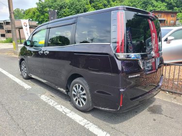 532259439_1176356641178004_1847209904057663158_n