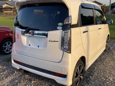 533026738_122268343280030563_6636293782793493535_n