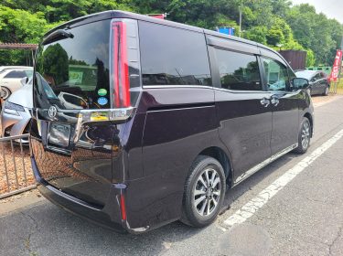 533205865_1176356591178009_4418843833366739588_n