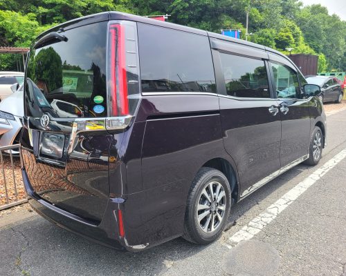 533205865_1176356591178009_4418843833366739588_n