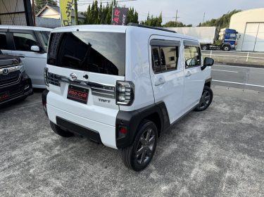 539367676_764185776370369_6690024435415160393_n