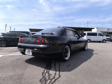 540975676_1232100722052799_6909573040224207540_n