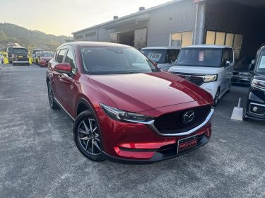 546625122_777954914993455_1816919593841162685_n-1