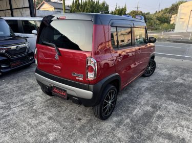 548226867_781193451336268_2524776844235950432_n