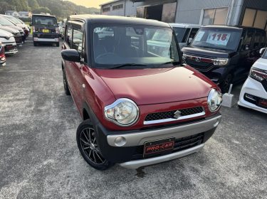 548320943_781193388002941_8355690769306786748_n-1