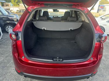 548422864_777954874993459_3292356076806166811_n