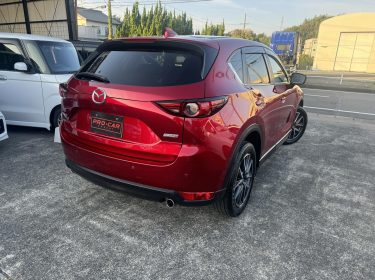 548637518_777954891660124_1384614018754459172_n