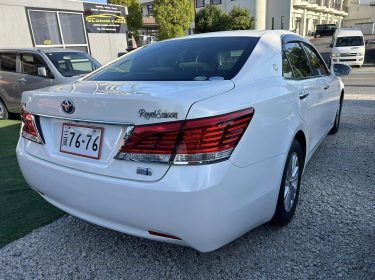 549203163_1367756485199323_2332624912690285964_n