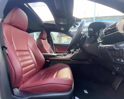 550463650_1129130989312449_6203294773276537784_n