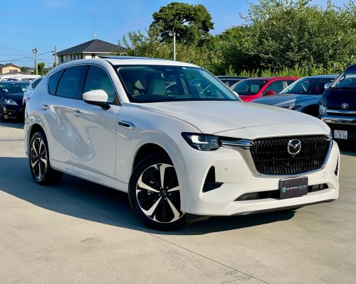 551853271_18055230023631295_8399071777870115648_n-1