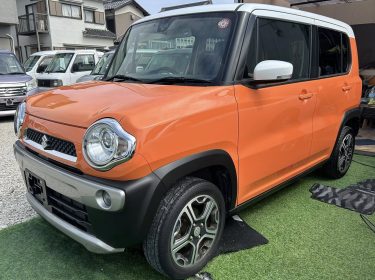 552709578_1370781594896812_8920076668237111222_n